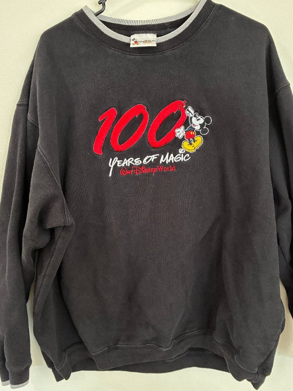 Walt Disney World sweatshirt (100 Years of Magic)
